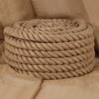Vidaxl – Corde de jute 5 m – Ø50 mm – Résistante aux intempéries – Pour artisanat et jardinage