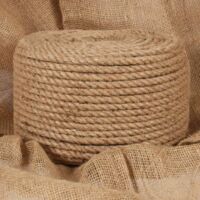 Vidaxl – Corde en jute 100 % naturelle 10 mm – Longueur 250 m – Résistante à l'abrasion pour agriculture et décoration – Usage durable