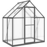 Vidaxl – Serre de jardin polycarbonate 169x114x195 cm – Cadre aluminium anthracite – Panneaux résistants aux UV – Gouttières intégrées