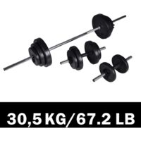 Kit de barre d'haltère et 2 haltères 30,5 kg