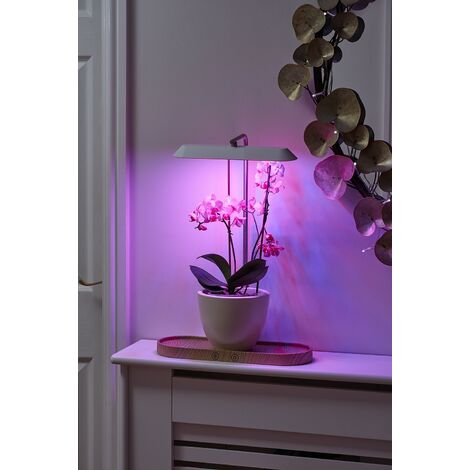Glowing Plant LED Light Plant Night Light Modern Table Lamp 