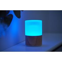 Auraglow Rechargeable Cordless Wireless Colour Changing & White Light LED Glass Table Lamp – WOODEN