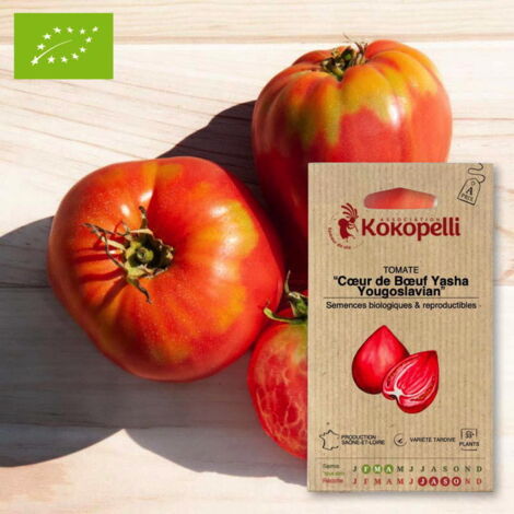 Tomate Cœur de Bœuf Yasha Yougoslavian