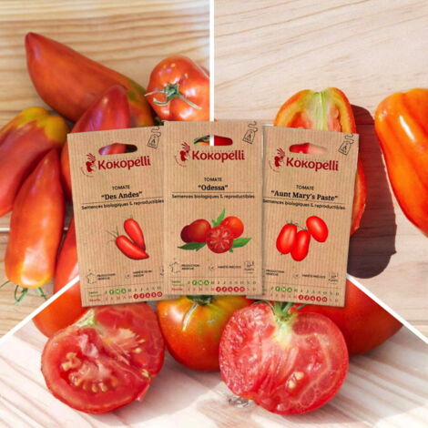 Tomates pour coulis - 3 sachets de graines bio à semer (1/2)