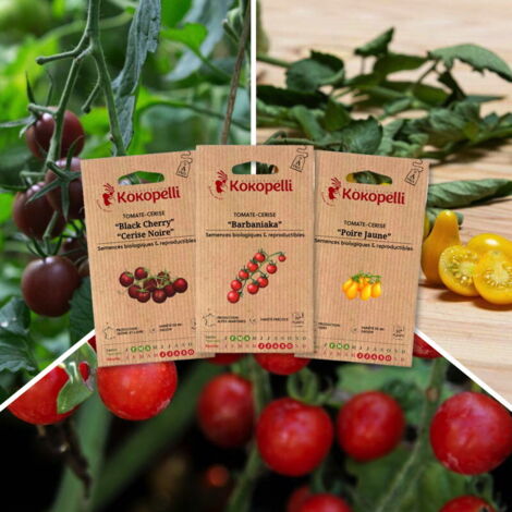 Tomates-cerise apéro - 3 sachets de graines bio à semer (1/2)