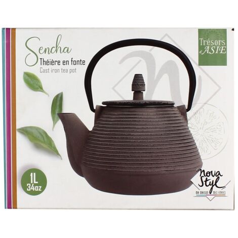 Théière Japonaise En Fonte Émaillée IWACHU Japon Kyushu Ardoise