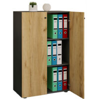 LonaXLDT Büroschrank 2 Türen anthrazit, Eiche dekor.