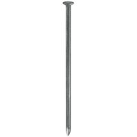 CHIODI TESTA PIANA LUCIDI 0,9X13MM GR.60