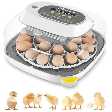 Couveuse Oeuf Automatique 24 Oeufs, Couveuses Oeuf Pour ufs de Volailles avec 4 Modes vue à 360°, Incubateur Oeuf Retournement Automatique des Oeufs et Contrôle de la Température (Gris)