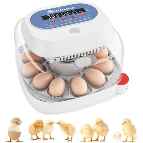 Couveuse Oeuf Automatique 12 Oeufs, Couveuses Oeuf Pour ufs de Volailles avec 4 Modes vue à 360°, Incubateur Oeuf Retournement Automatique des Oeufs et Contrôle de la Température