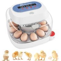 Couveuse automatique 12 œufs – Incubateur avec contrôle de température et humidité – Retournement automatique toutes les 2h – 4 modes d'éclosion