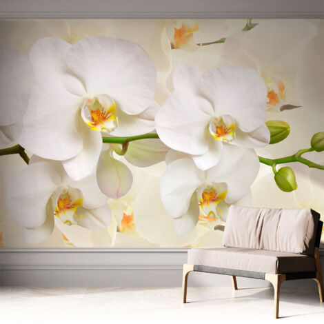 Fototapete Selbstklebend - Wandtattoo - leicht anzubringen - Wandverkleidung Blumenpracht 312x219 cm (1/5)