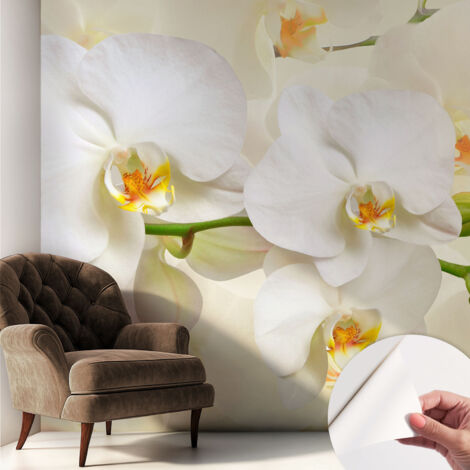 Fototapete Selbstklebend - Wandtattoo - leicht anzubringen - Wandverkleidung Blumenpracht 250x250 cm