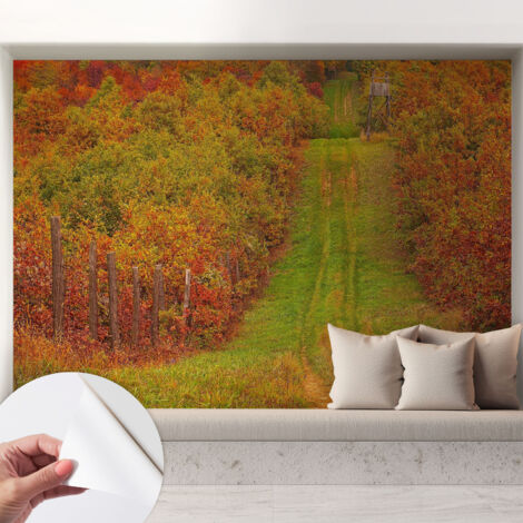Fototapete Selbstklebend - Wandtattoo - leicht anzubringen - Wandverkleidung Herbstfarben 208x146 cm (1/5)