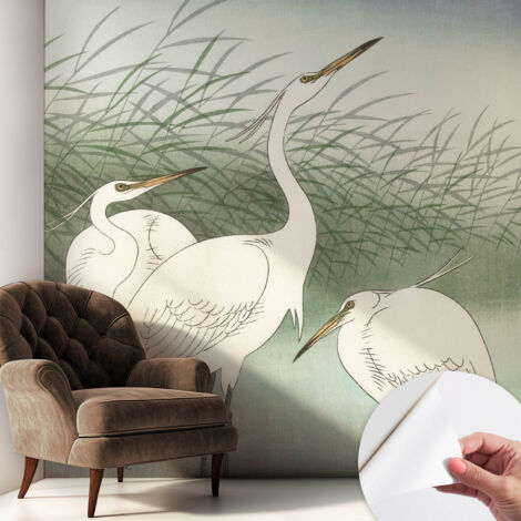 Selbstklebend Tapete modern Wohnzimmer - Wanddekoration - einfach anzubringen Reiher im Gras 250x250 cm (1/5)