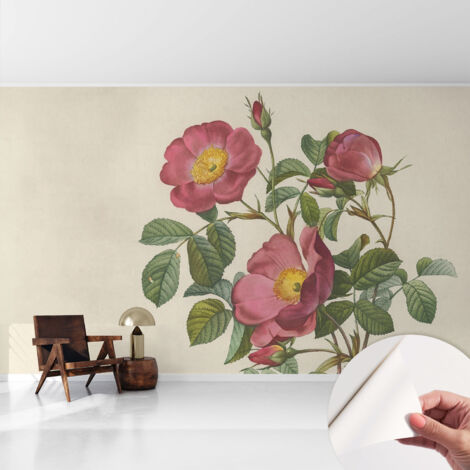 Tapete Selbstklebend - Fototapete mit Motiv - Wandtapete modern - Wandgestaltung Rosenmotiv 416x254 cm (1/5)