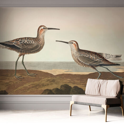 Tapete Selbstklebend - abwaschbar - trendige Wanddeko - elegant Fototapete  Vogelsilhouetten 312x219 cm
