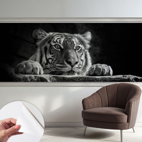 Selbstklebend Tapete modern - Wanddeko für Küche - Klebefolie Wand - luxus Look Raubtierhafter Blick 250x104 cm (1/5)