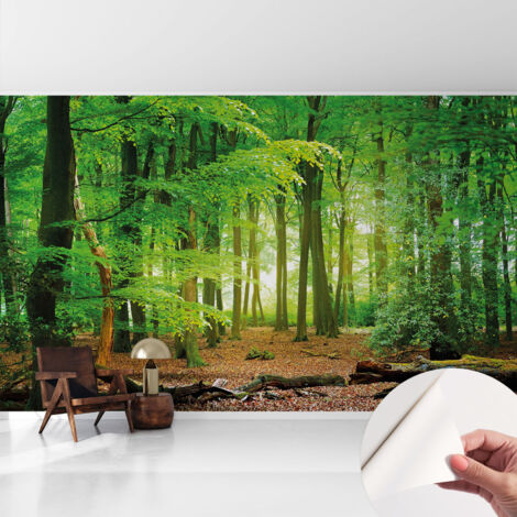 Selbstklebende Tapete modern Wohnzimmer - Wanddeko Schlafzimmer - Tapete mit Motiv Grüner Wald 416x254 cm (1/5)