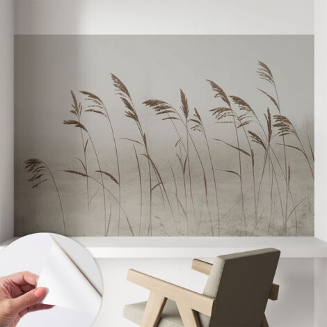Fototapete Selbstklebend - Büro Wandgestaltung - Wanddekoration Wohnzimmer Gräser im Nebel 104x70 cm (1/5)