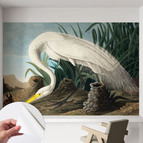 Fototapete Selbstklebend - trendige Wanddeko - Schlafzimmer - Wohnzimmer Majestätischer Reiher 152x104 cm (1/5)