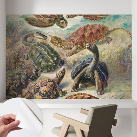 Tapete Selbstklebend - Wandtapete modern - Tapete mit Motiv - Tapete Schlafzimmer Schildkrötenfauna 104x70 cm (1/5)