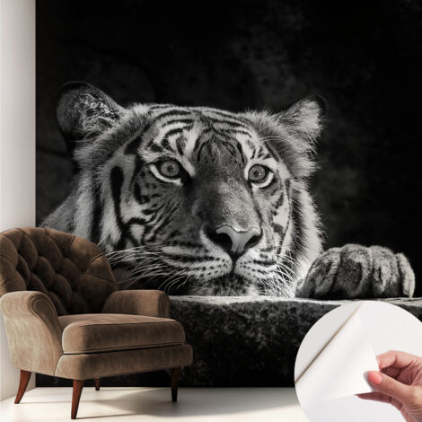 Selbstklebend Tapete modern - Wanddeko für Küche - Klebefolie Wand - luxus Look Raubtierhafter Blick 250x250 cm (1/5)