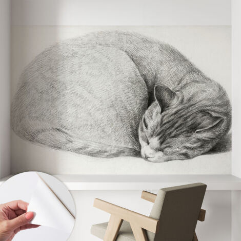 Fototapete Selbstklebend - Wandtattoo - leicht anzubringen - Wandverkleidung Zusammengerollte Katze 104x70 cm (1/5)