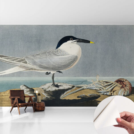 Selbstklebende Tapete modern Wohnzimmer - Wanddeko Schlafzimmer - Tapete mit Motiv Ornithologische Eleganz 416x254 cm (1/5)