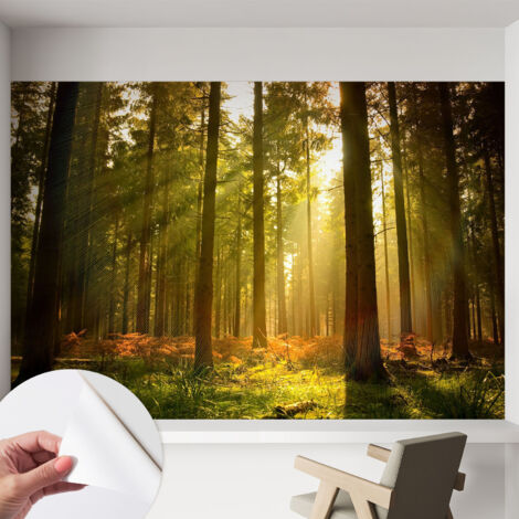 Selbstklebend Tapete modern - Wanddeko für Küche - Klebefolie Wand - luxus Look Waldmorgen 152x104 cm (1/5)