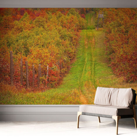 Fototapete Selbstklebend - Wandtattoo - leicht anzubringen - Wandverkleidung Herbstfarben 312x219 cm (1/5)
