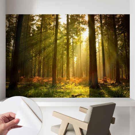 Tapete Selbstklebend - Wandtapete modern - Tapete mit Motiv - Tapete Schlafzimmer Waldmorgen 104x70 cm (1/5)