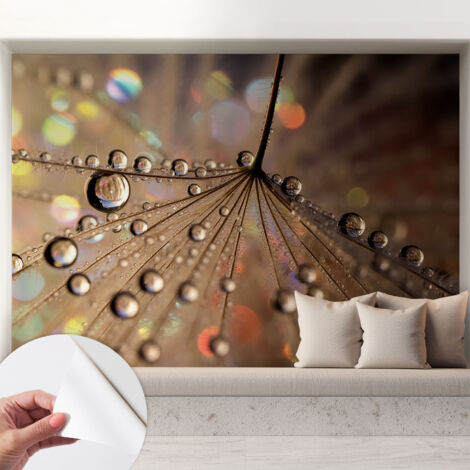 Tapete Selbstklebend - abwaschbar - trendige Wanddeko - elegant Fototapete Perlende Tropfen 208x146 cm (1/5)