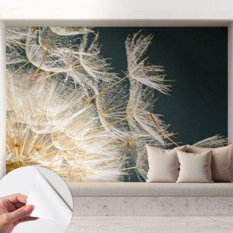Tapete Selbstklebend - abwaschbar - trendige Wanddeko - elegant Fototapete Luftiger Pusteblume 208x146 cm (1/5)