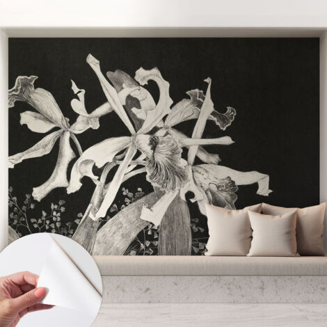 Selbstklebend Tapete modern - Wanddeko für Küche - Klebefolie Wand - luxus Look Orchideenillustration 208x146 cm (1/5)