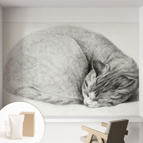 Tapete Vliestapete mit Kleber für Wohnzimmer Schlafzimmer Küche - Wanddekoration Zusammengerollte Katze 152x104 cm (1/5)
