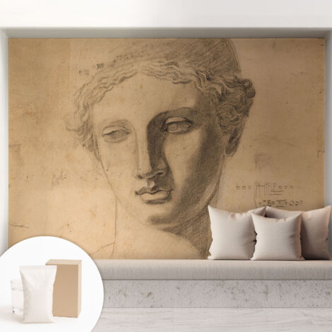 Tapete Vliestapete mit Kleber - trendige Wanddeko - elegant Fototapete für Wohnzimmer - Schlafzimmer Frauenporträt 208x146 cm (1/5)