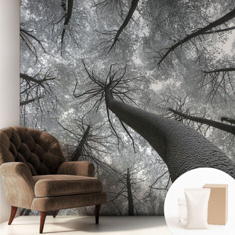 Tapete Vliestapete mit Kleber - Fototapete mit Motiv - Wandtapete modern - Wandgestaltung Winterlandschaft 250x250 cm (1/5)