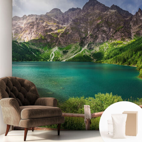 Fototapete Vliestapete mit Kleber - modern Wohnzimmer - Wanddekoration - einfach anzubringen Berglandschaft 250x250 cm (1/5)