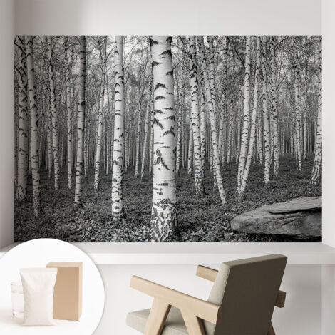 Tapete Vliestapete mit Kleber Wandtapete modern - Tapete mit Motiv - Tapete Schlafzimmer Birkenwald 104x70 cm (1/5)