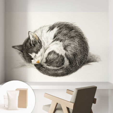 Fototapete Vliestapete mit Kleber - modern Wohnzimmer - Wanddekoration - einfach anzubringen Entzückendes Kätzchen 104x70 cm (1/5)