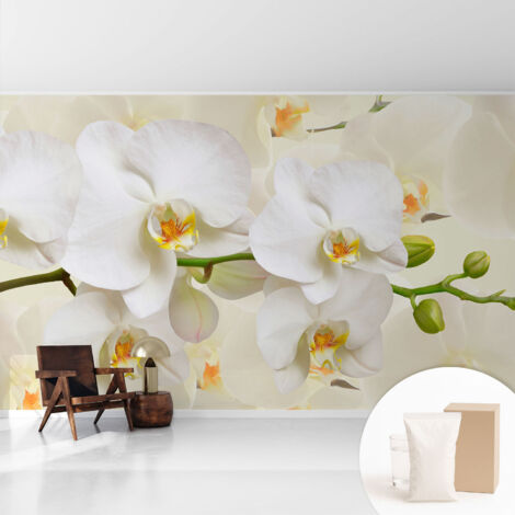 Tapete Dekorative Vliestapete mit Klebe für Wand - Mustertapete - moderne Einrichtung - für Büro Blumenpracht 416x254 cm (1/5)