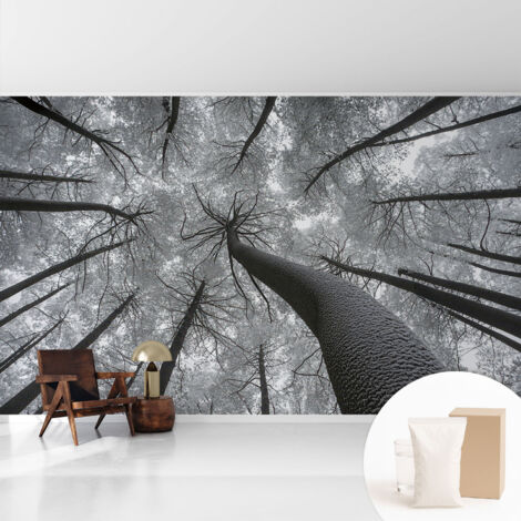 Tapete Tapete Vliestapete mit Kleber - Fototapete mit Motiv - Wandtapete modern - Wanddeko Winterlandschaft 416x254 cm (1/5)