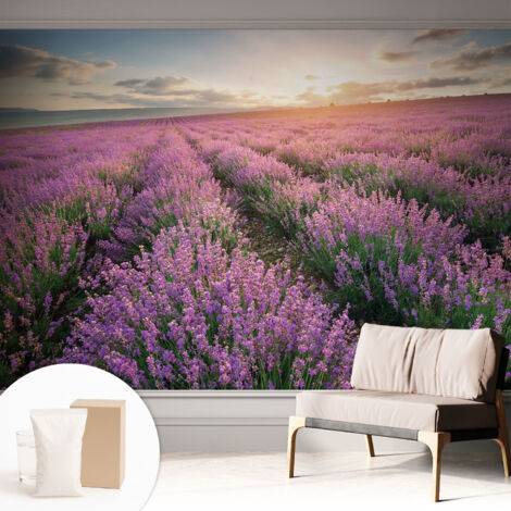 Tapete Vliestapete mit Kleber - Wandgestaltung - Tapete Wohnzimmer - Flur Eingangsbereich Lavendelfelder 312x219 cm (1/5)
