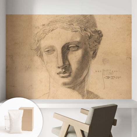 Tapete Vliestapete mit Kleber - abwaschbar - Arbeitszimmer - Esszimmer- Top Qualität Frauenporträt 104x70 cm (1/5)