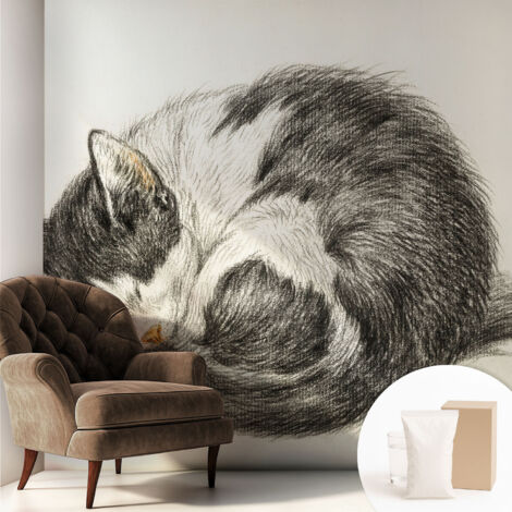 Fototapete Tapete Vliestapete mit Kleber - trendige Wanddeko - Schlafzimmer - Wohnzimmer Entzückendes Kätzchen 250x250 cm (1/5)