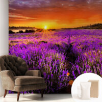 Tapete Vliestapete mit Kleber Wandtapete modern - Tapete mit Motiv - Tapete Schlafzimmer Lavendelfarbener Sonnenuntergang 250x250 cm