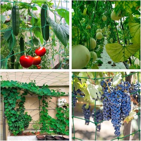 50pcs Clip Di Supporto Per Piante In Plastica Mors... – Grandado - Foto 12