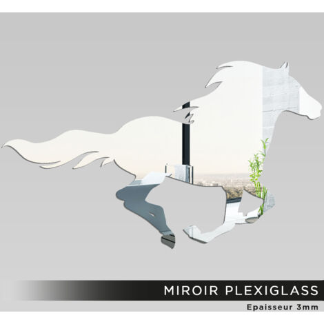Miroir Plexiglass - Cheval - 24x40 cm (1/2)