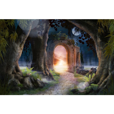Papier peint panoramique Enfants - Passage Magique - 195 cm x 130 cm (1/2)
